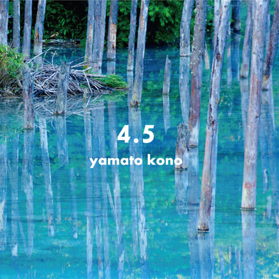 アルバム/4.5/yamato kono