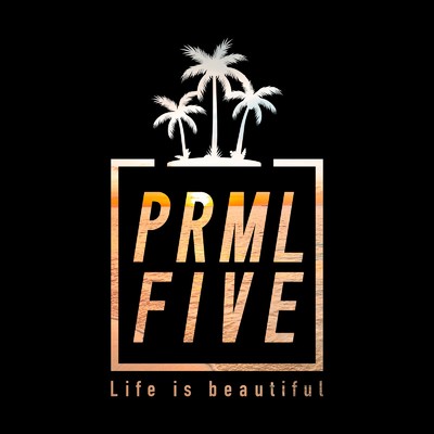 Life is beautiful/PRML5
