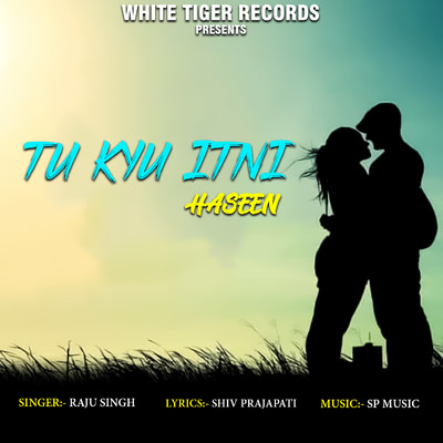 シングル/Tu Kyu Itni Haseen/Raju Singh