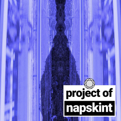 Wandering/project of napskint