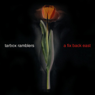 アルバム/Tarbox Ramblers/Tarbox Ramblers