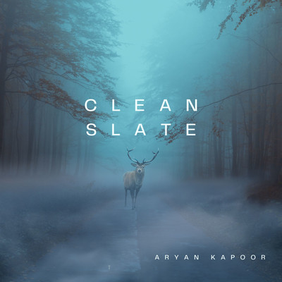 Clean slate/Aryan Kapoor