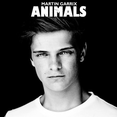 シングル/Animals (Radio Edit)/Martin Garrix