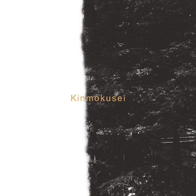 シングル/Kinmokusei/Riku OSHIMA