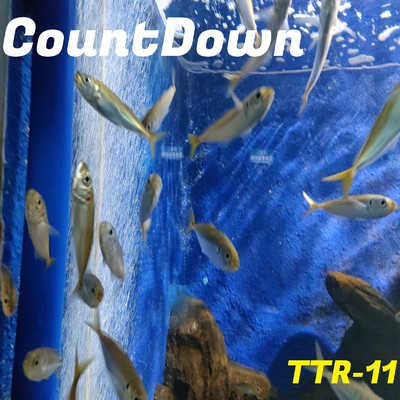 CountDown/TTR-11