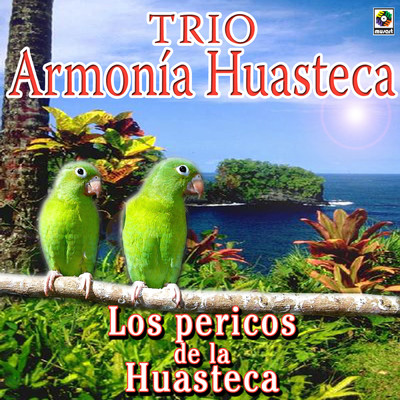 シングル/Los Danzantes De La Sierra/Trio Armonia Huasteca