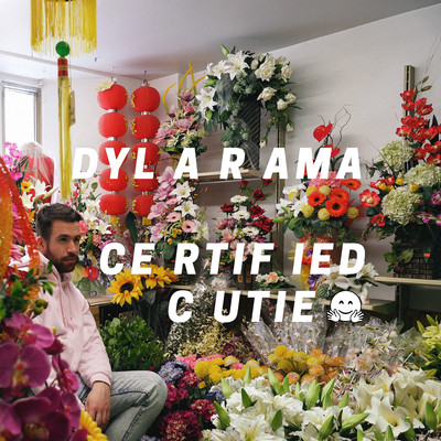 Certified Cutie/Dylarama