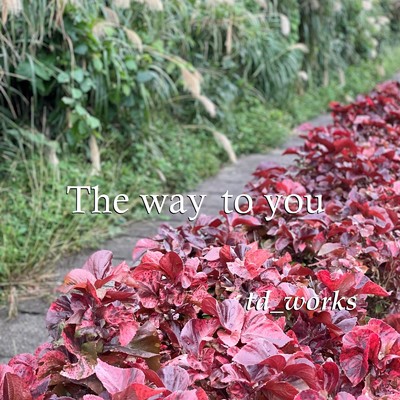 アルバム/The way to you/td_works