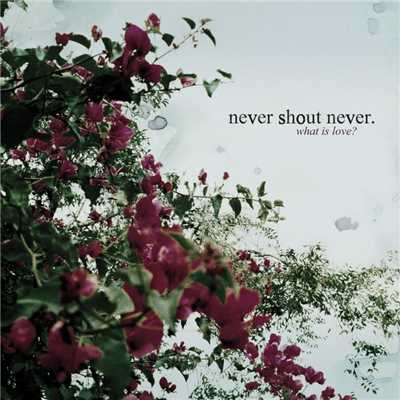 What Is Love？/Never Shout Never