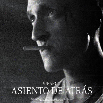 シングル/Asiento De Atras/Vibarco