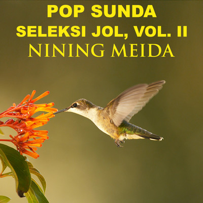 アルバム/Pop Sunda Seleksi Jol, Vol. II/Nining Meida