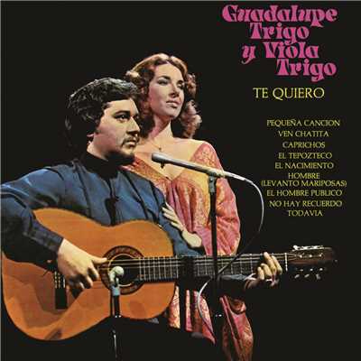 シングル/No Hay Recuerdo/Guadalupe Trigo／Viola Trigo