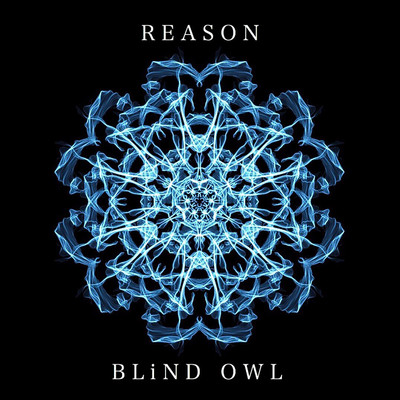 REASON/BLiND OWL