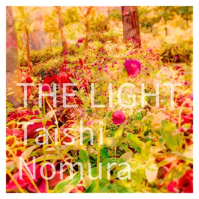THE LIGHT/Taishi Nomura