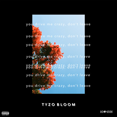 You Drive Me Crazy, Don't Leave (Explicit)/Tyzo Bloom
