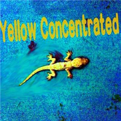 Sea Side Line/Yellow Concentrated