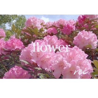flower/rei
