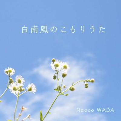 シングル/白南風のこもりうた/Naoco WADA