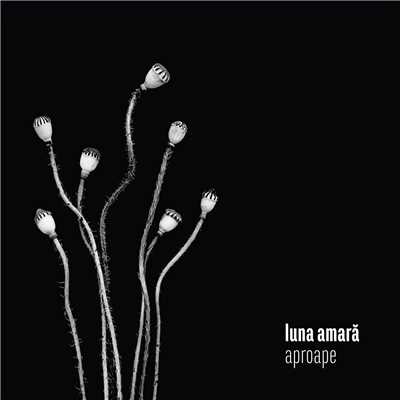 アルバム/Aproape/Luna Amara