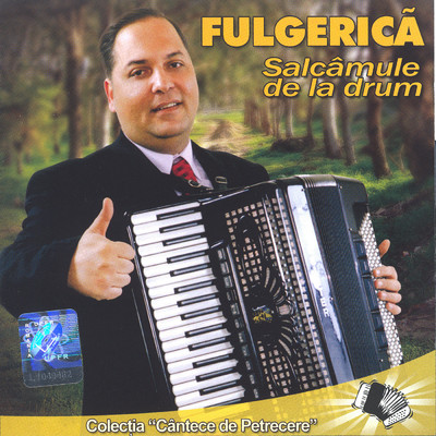 アルバム/Salcamule de la drum/Fulgerica