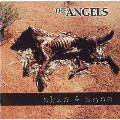 アルバム/Skin And Bone/エンジェルス