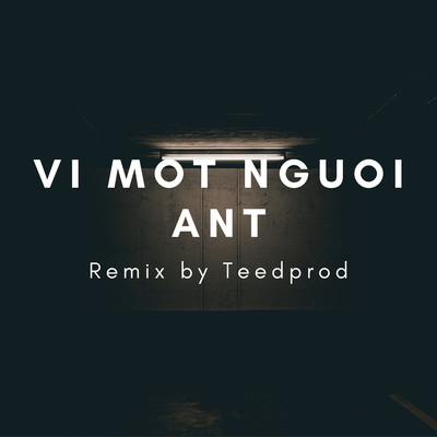 シングル/Vi Mot Nguoi (TeeD Remix)/AnT