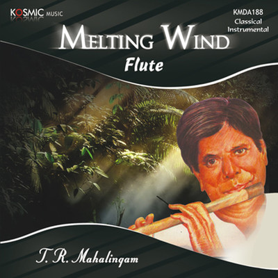 Melting Wind/Patnam Subramanian Iyer
