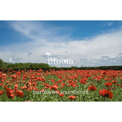 Bloom/harukawa soundwork