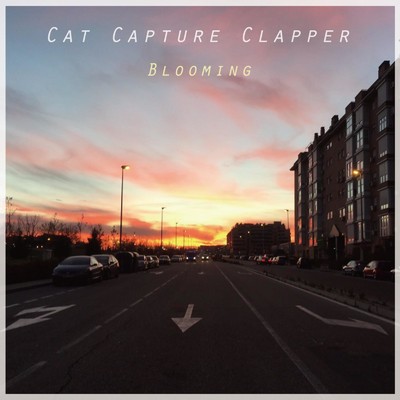 Bloom like a bluerose/Cat Capture Clapper
