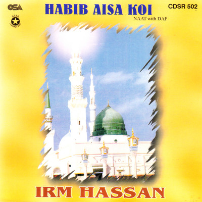 シングル/Maula Ya Sallee Wassallm/Irm Hassan