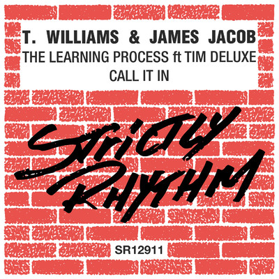 The Learning Process ／ Call It In/T.Williams & James Jacob