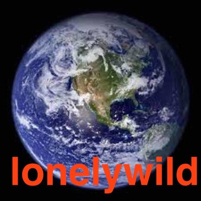 シングル/A Solitary Star (それは地球)/lonelywild