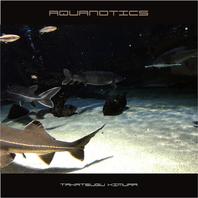 Aquanautics/Takatsugu Kimura