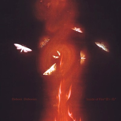 シングル/Inside of Fire -蒼い鳥-/Dobooi Dobooies