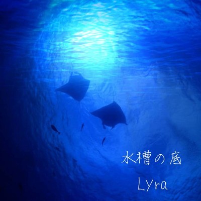 アルバム/水槽の底/lyra