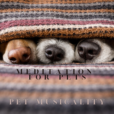 Meditation for Pets/Pet Musicality