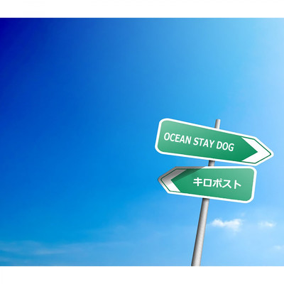 OCEAN STAY DOG