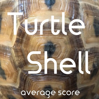 Turtle Shell/average score