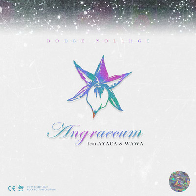 シングル/ANGRAECUM (feat. AYACA & WAWA)/DODGE NOLEDGE