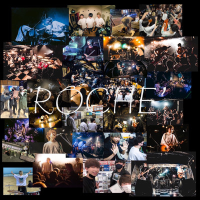 THE ALL OF ROCHE‘/ROCHE'