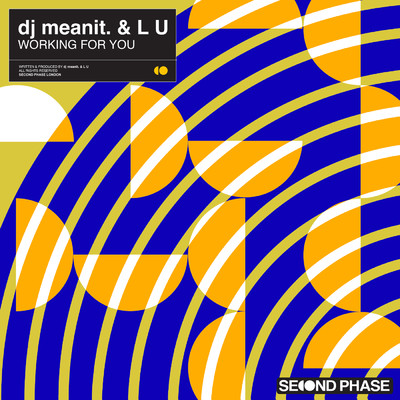 Working For You/dj meanit.／Lu