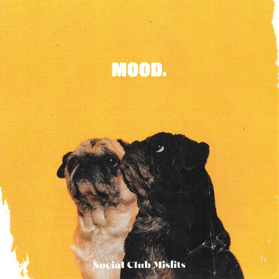 アルバム/MOOD./Social Club Misfits
