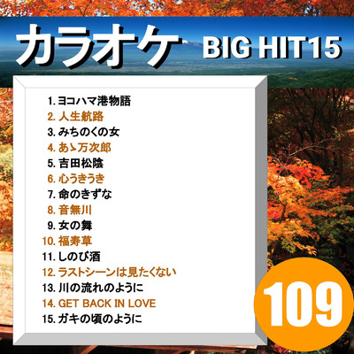 アルバム/カラオケ BIG HIT 15 109/CTA カラオケ
