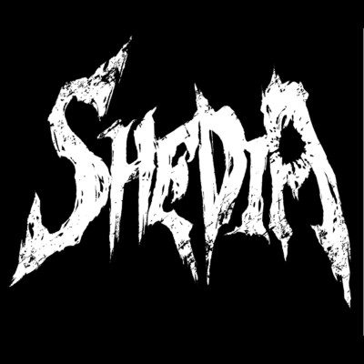 アルバム/SHEDIA/SHEDIA