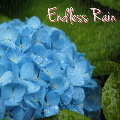 アルバム/Endless Rain 雨の日を快適に過ごす為のピアノBGM- 作業用 睡眠用 瞑想用 移動用/睡眠音楽おすすめTIMES