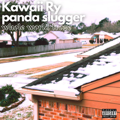 Whole World Froze/Kawaii Ry／panda slugger