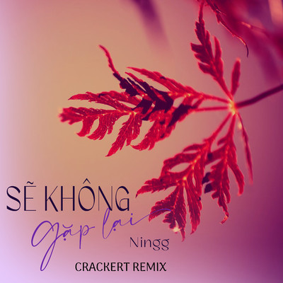 シングル/Se Khong Gap Lai (CrackerT Remix)/Ningg