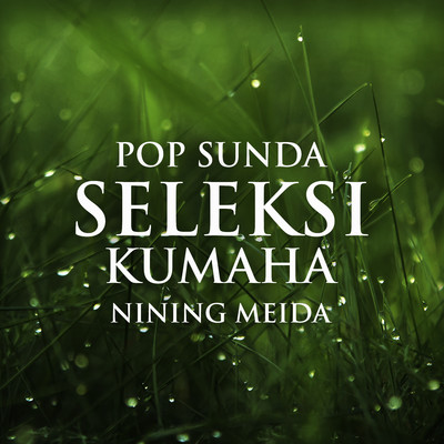 アルバム/Pop Sunda Seleksi Kumaha/Nining Meida