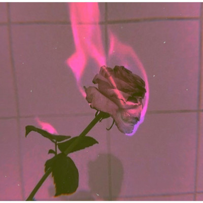 Dead Roses/Gmoney2x