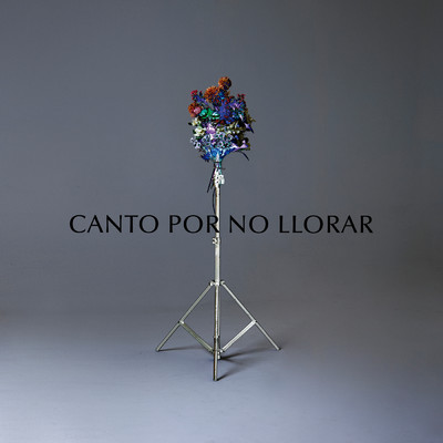 シングル/Canto por No Llorar feat.Yerai Cortes/Nino de Elche